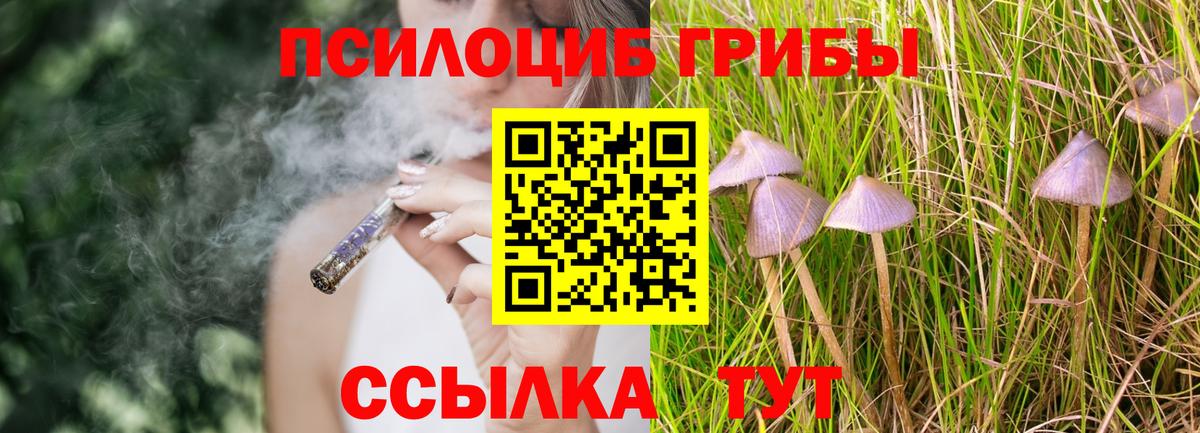 Псилоцибиновые грибы прущие грибы  Вход с VPN  Бутурлиновка 